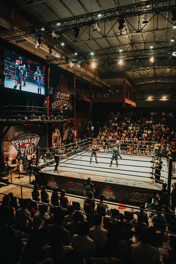 Boxing at the Asian Games