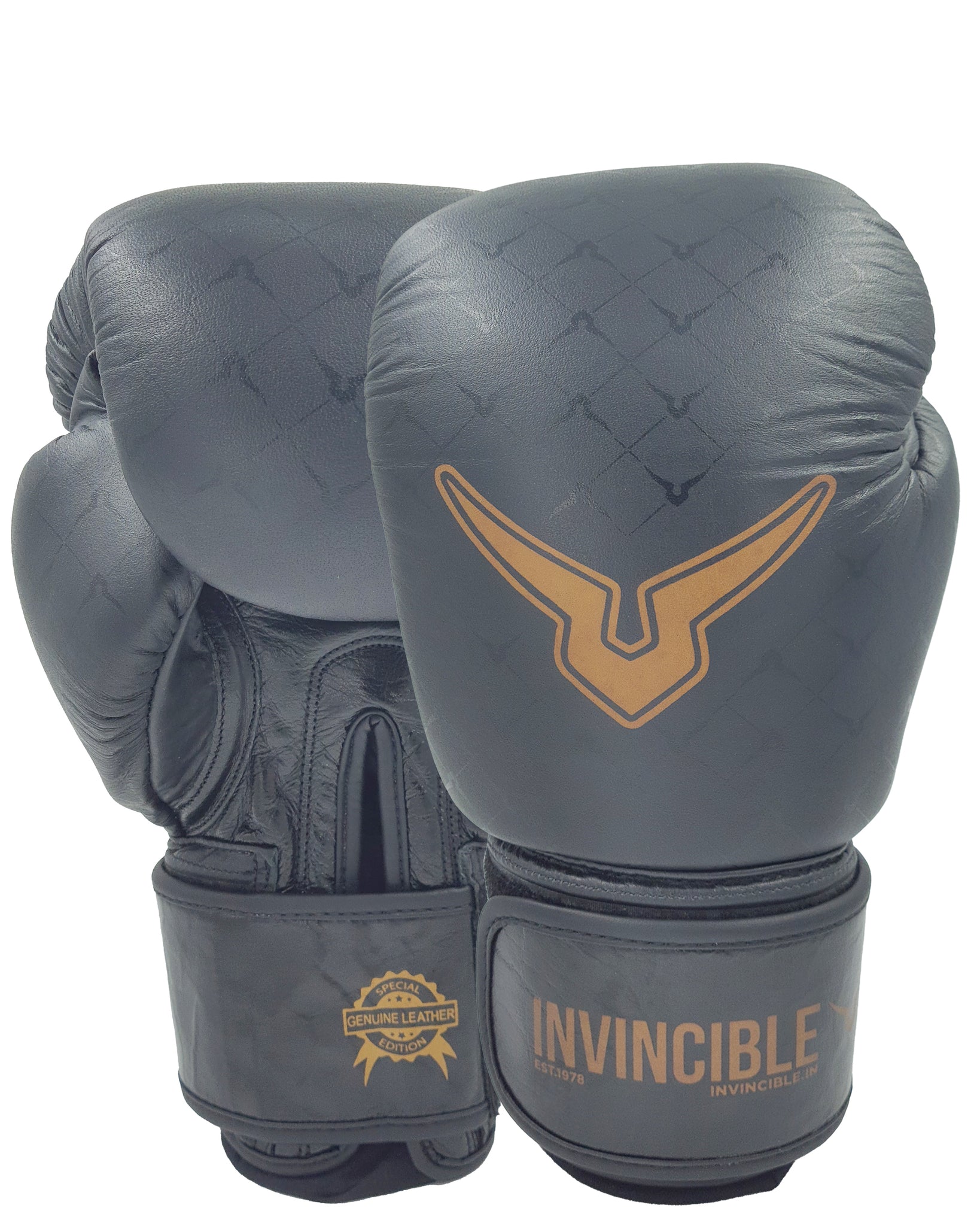 Invincible Special Edition Muay Thai Pro Boxing Gloves