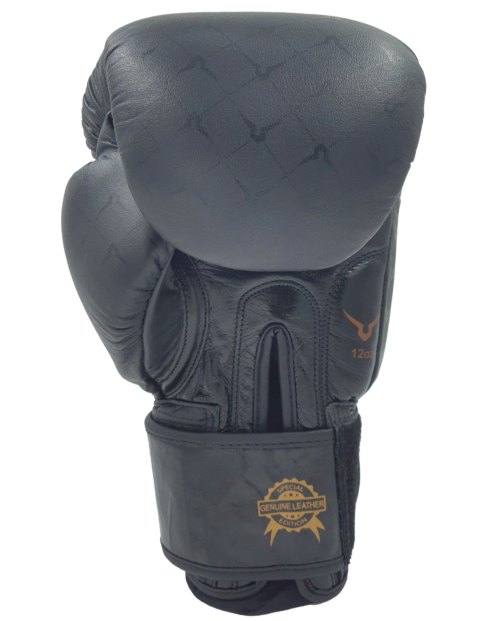 Invincible Special Edition Muay Thai Pro Boxing Gloves