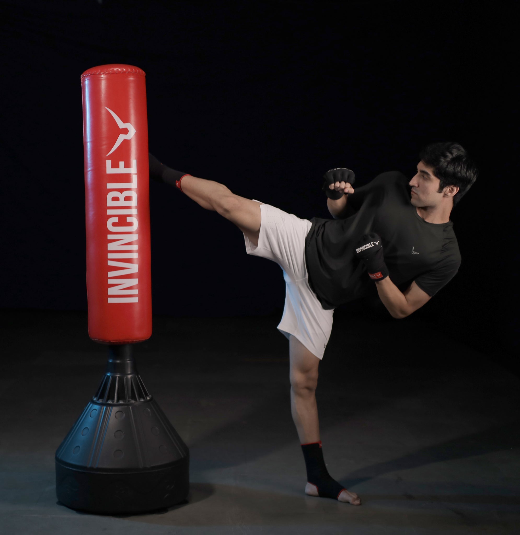 Invincible Standing Boxing Punch Bag