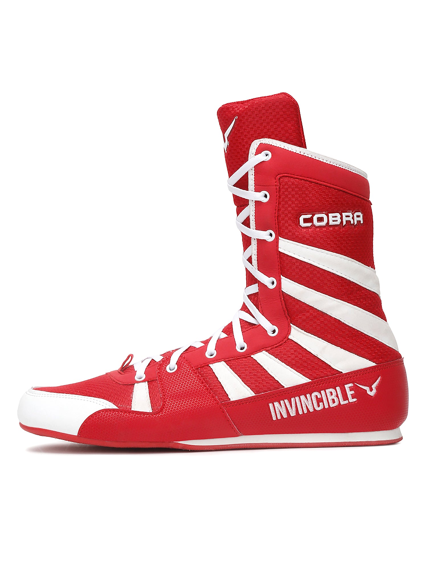 Invincible Cobra Boxing Shoes