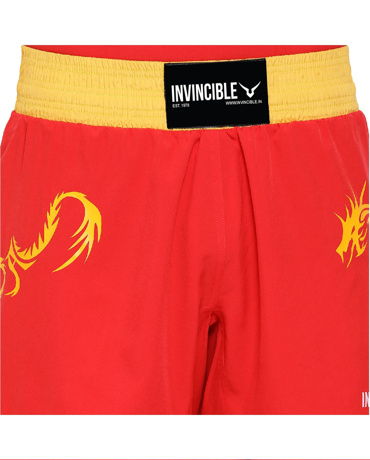 Invincible Men’s Wushu Kit