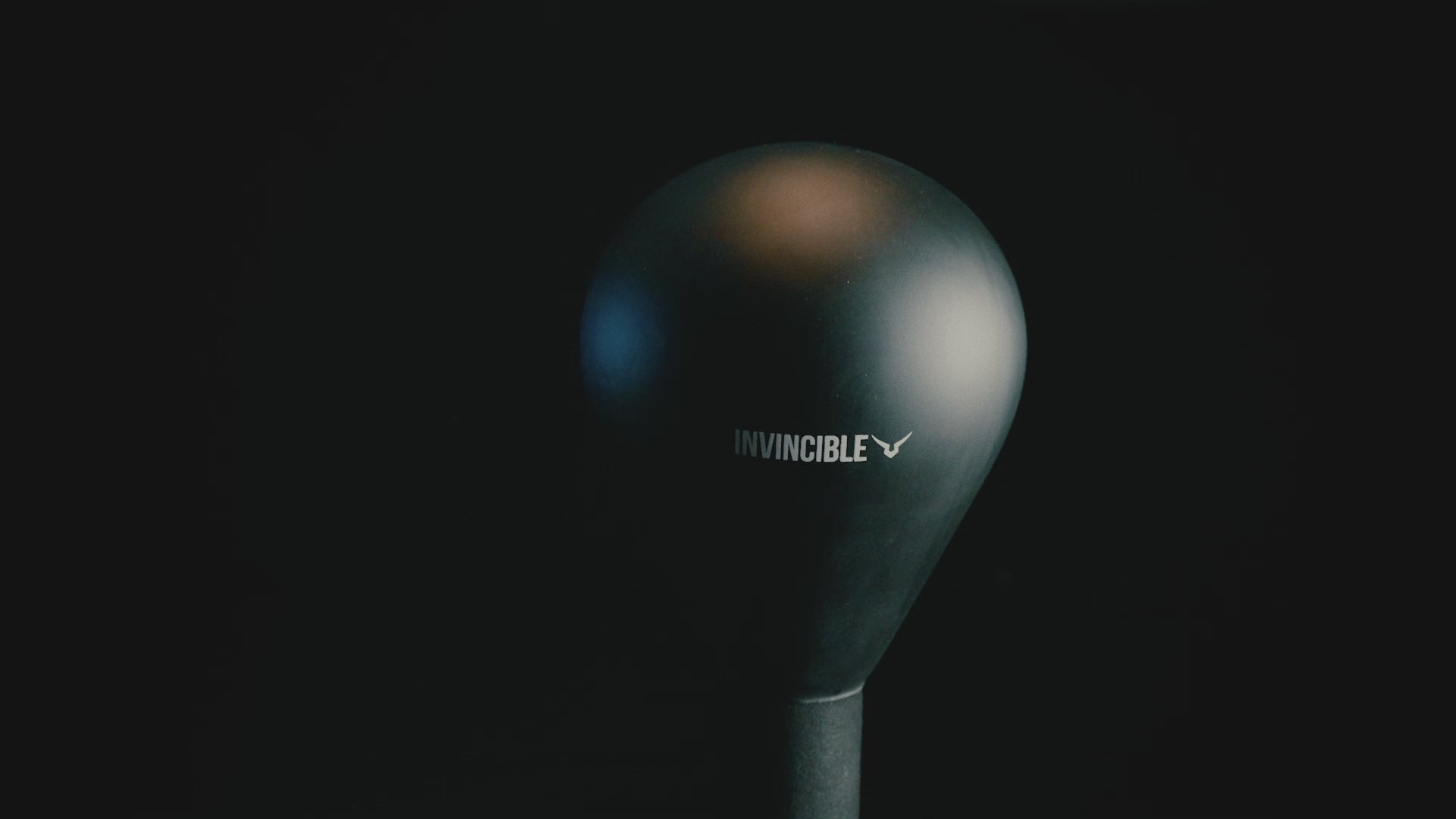 Invincible Adjustable Boxing Speed Ball