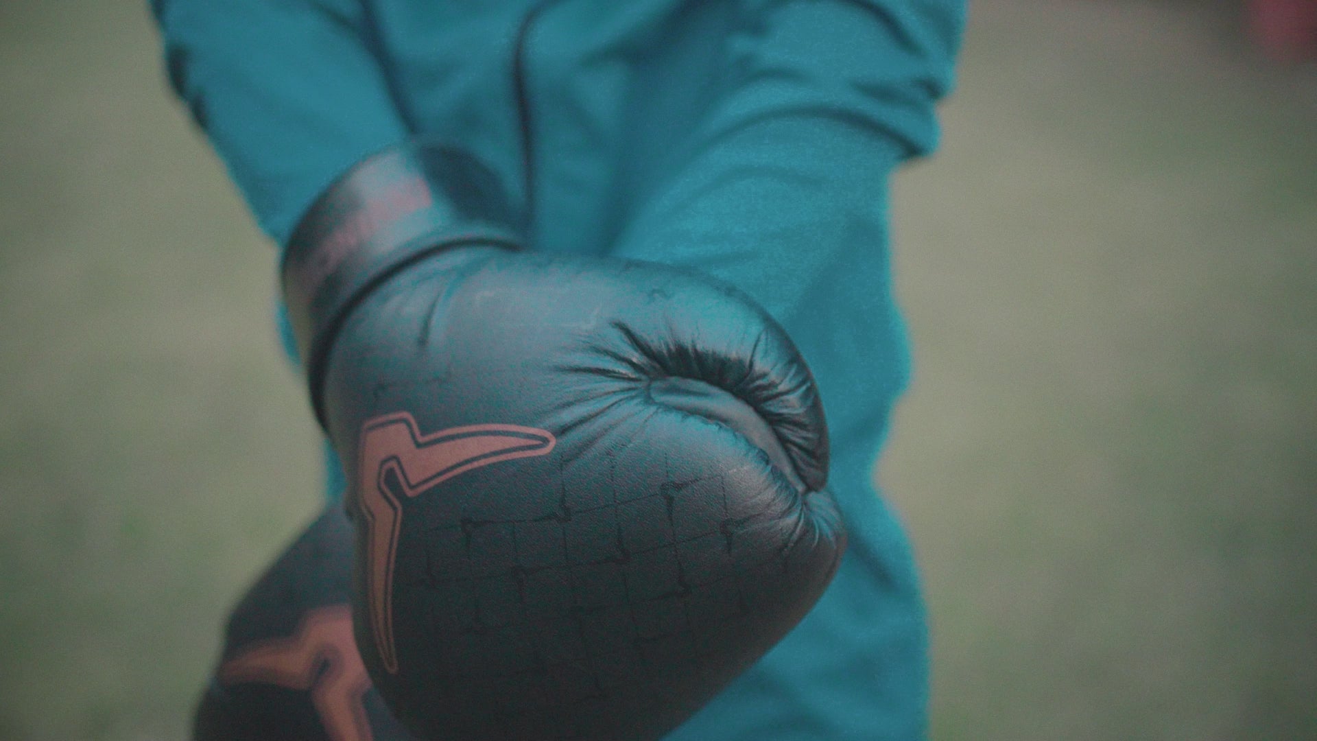 Invincible Special Edition Muay Thai Pro Boxing Gloves