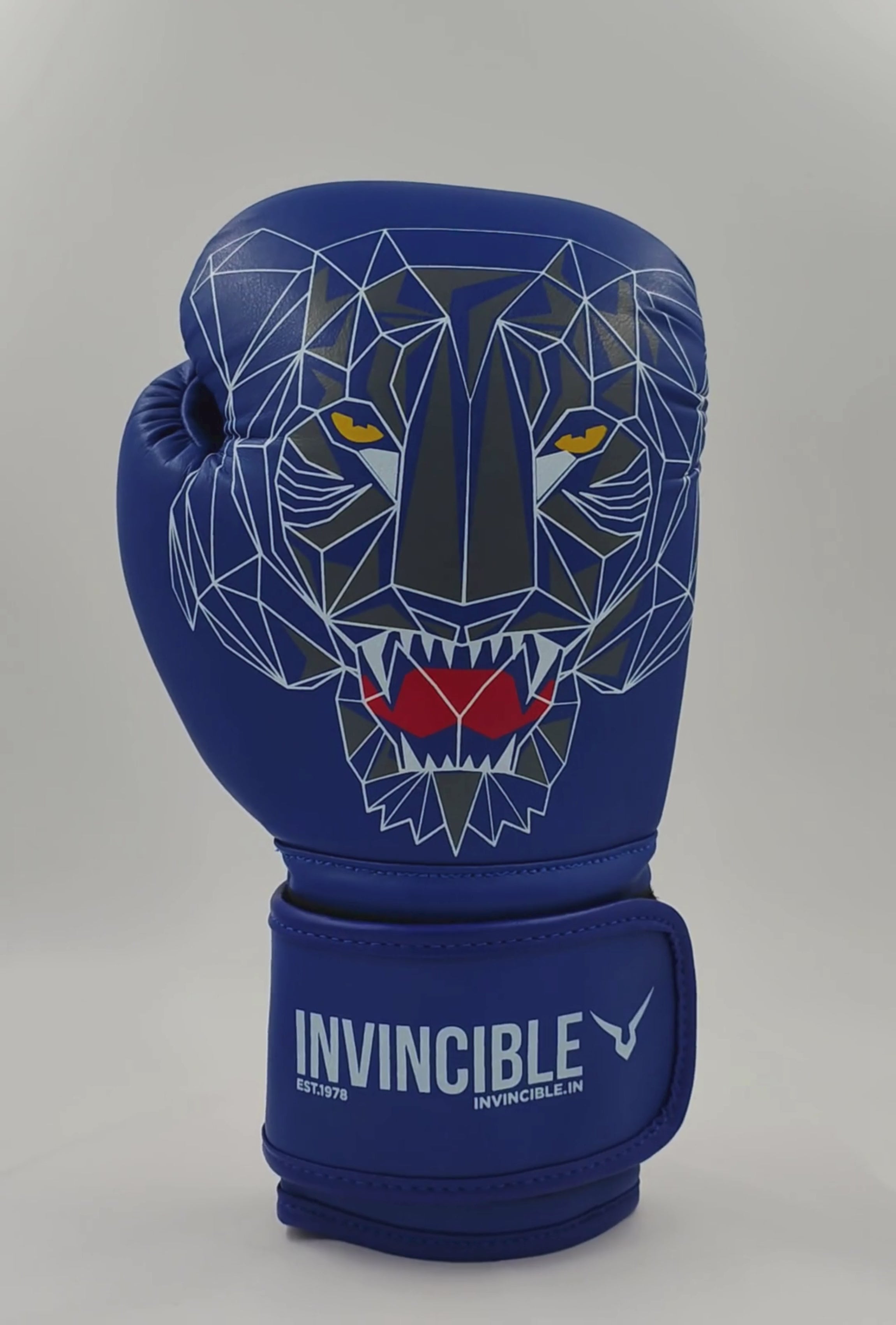 Invincible Limited Edition Combat Boxing Gloves