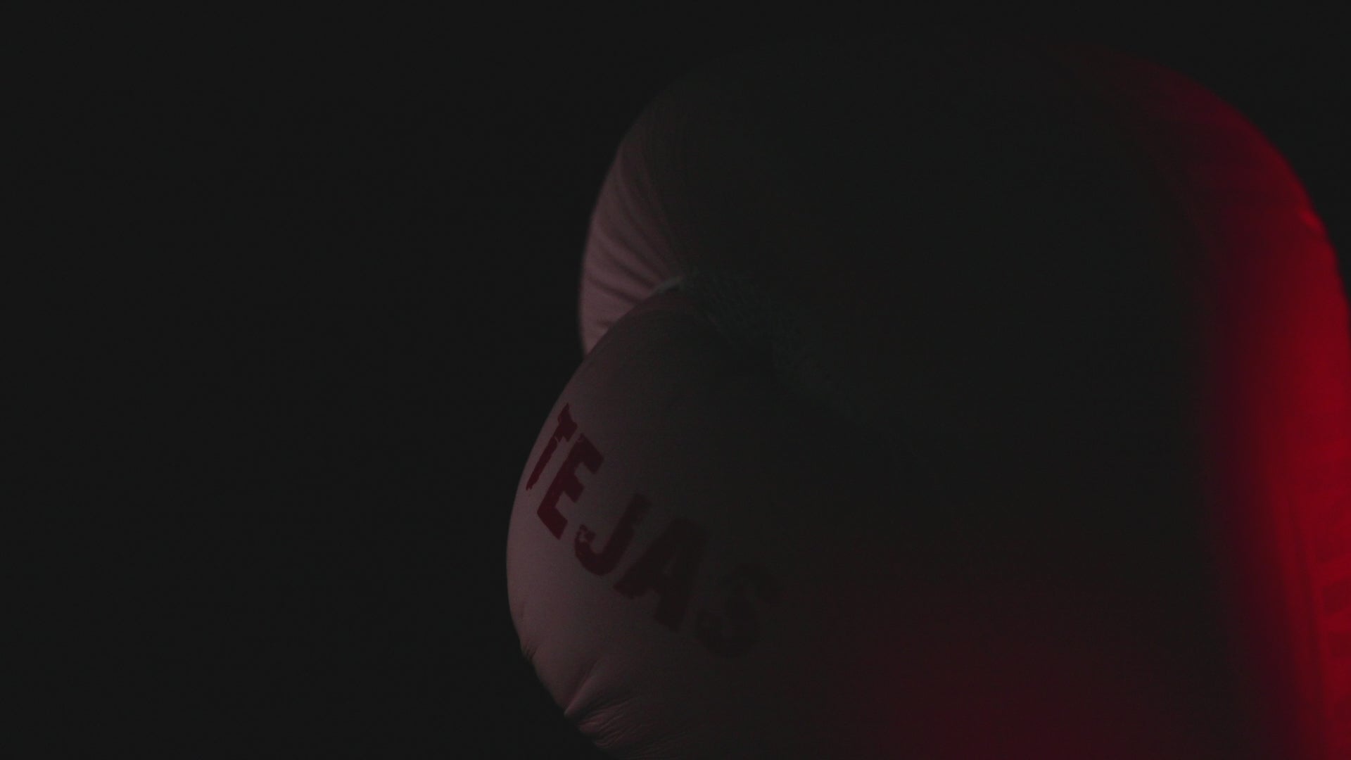 Invincible Temperature Sensitive Tejas Training Boxing Gloves