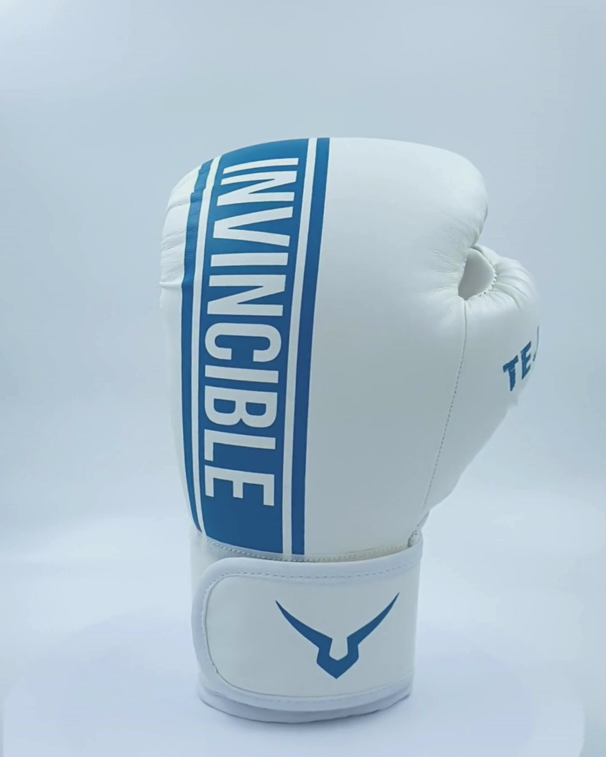 Invincible Solar Activated Tejas Training Boxing Gloves