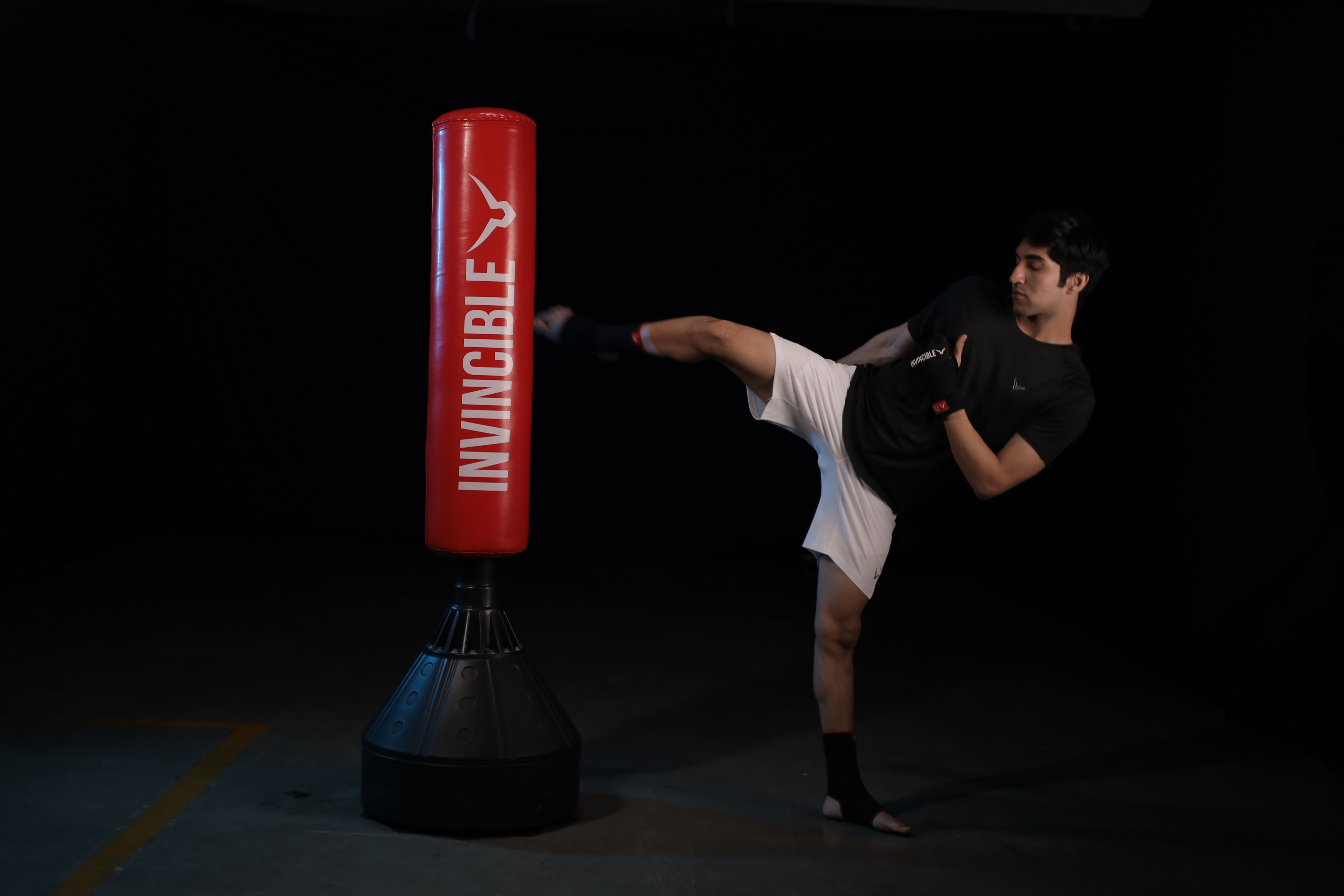 Invincible Standing Boxing Punch Bag