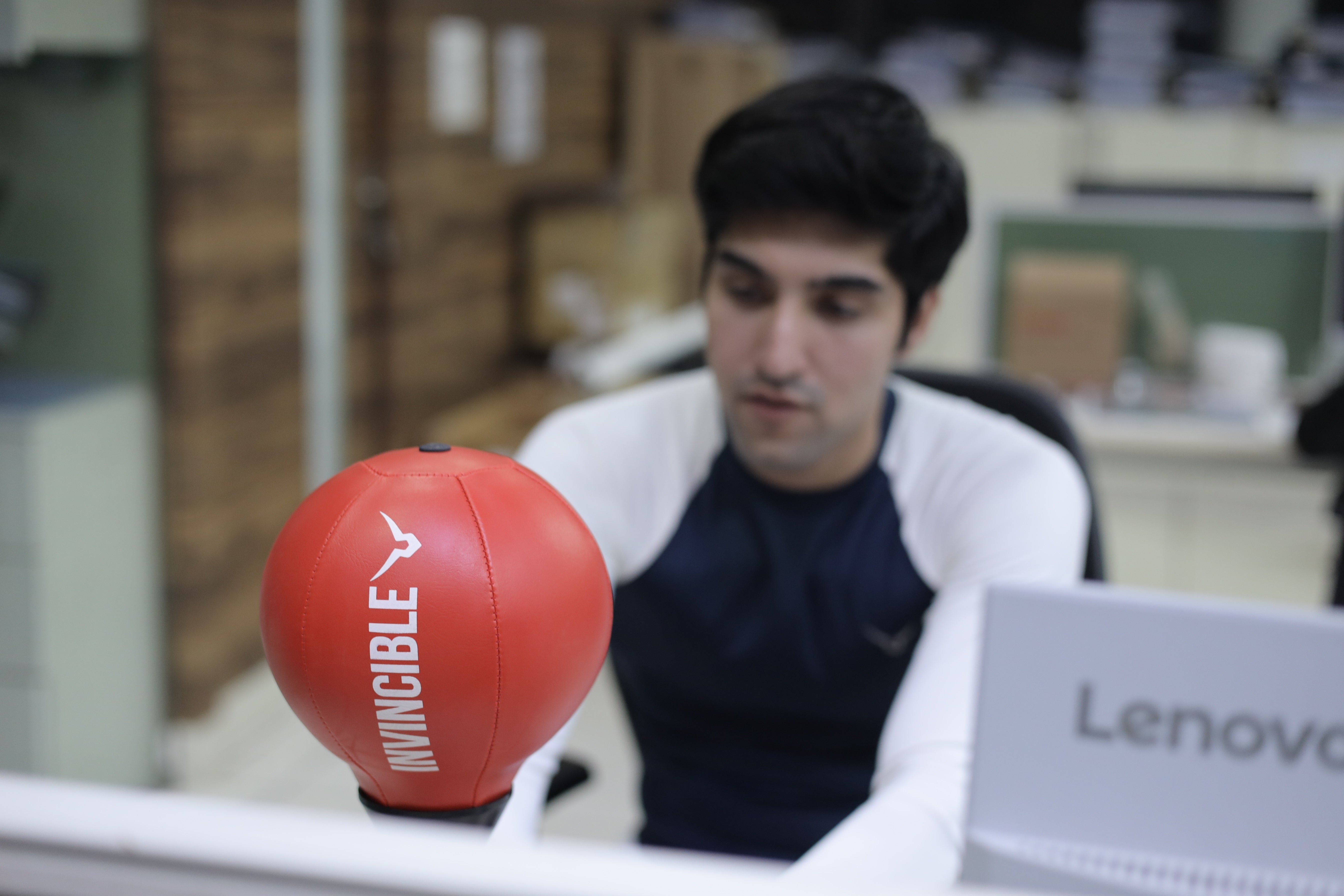 Invincible Inflatable Desk Punching Bag