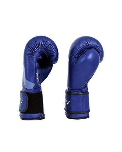 Invincible Extreme Competition Boxing Gloves Approved by IABF