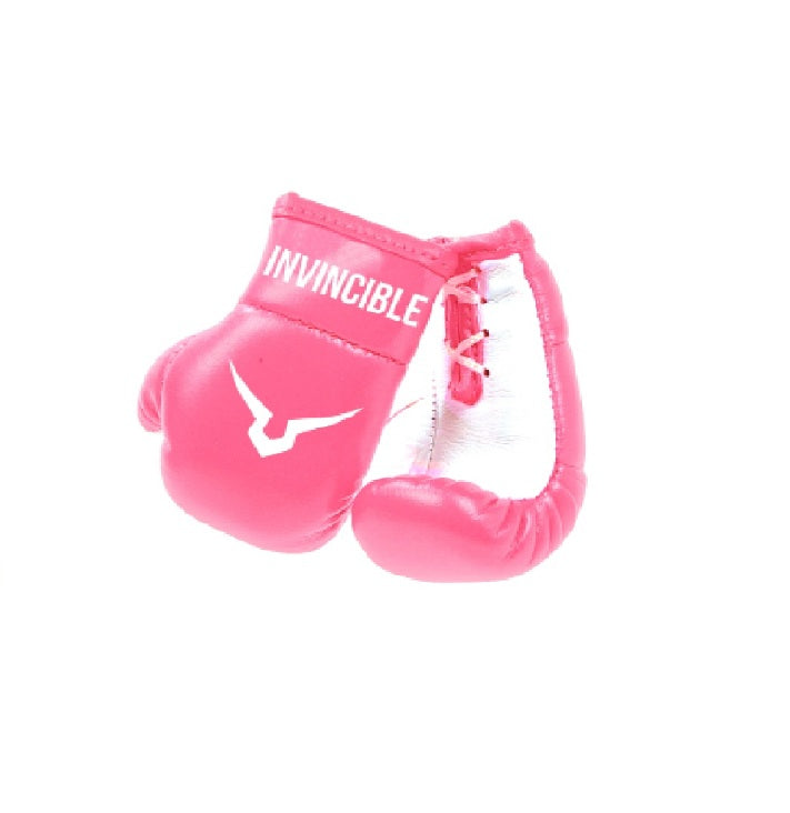Invincible Mini Boxing Gloves 3”