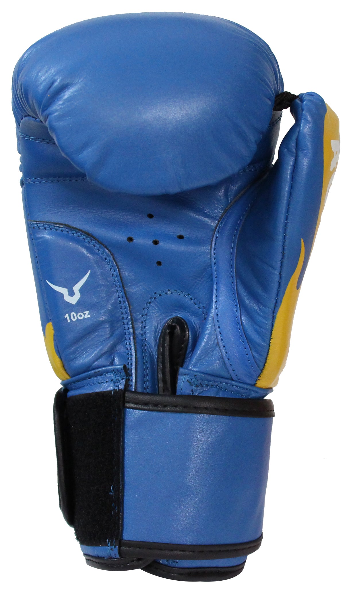 Invincible Agni Amateur Competition Gloves