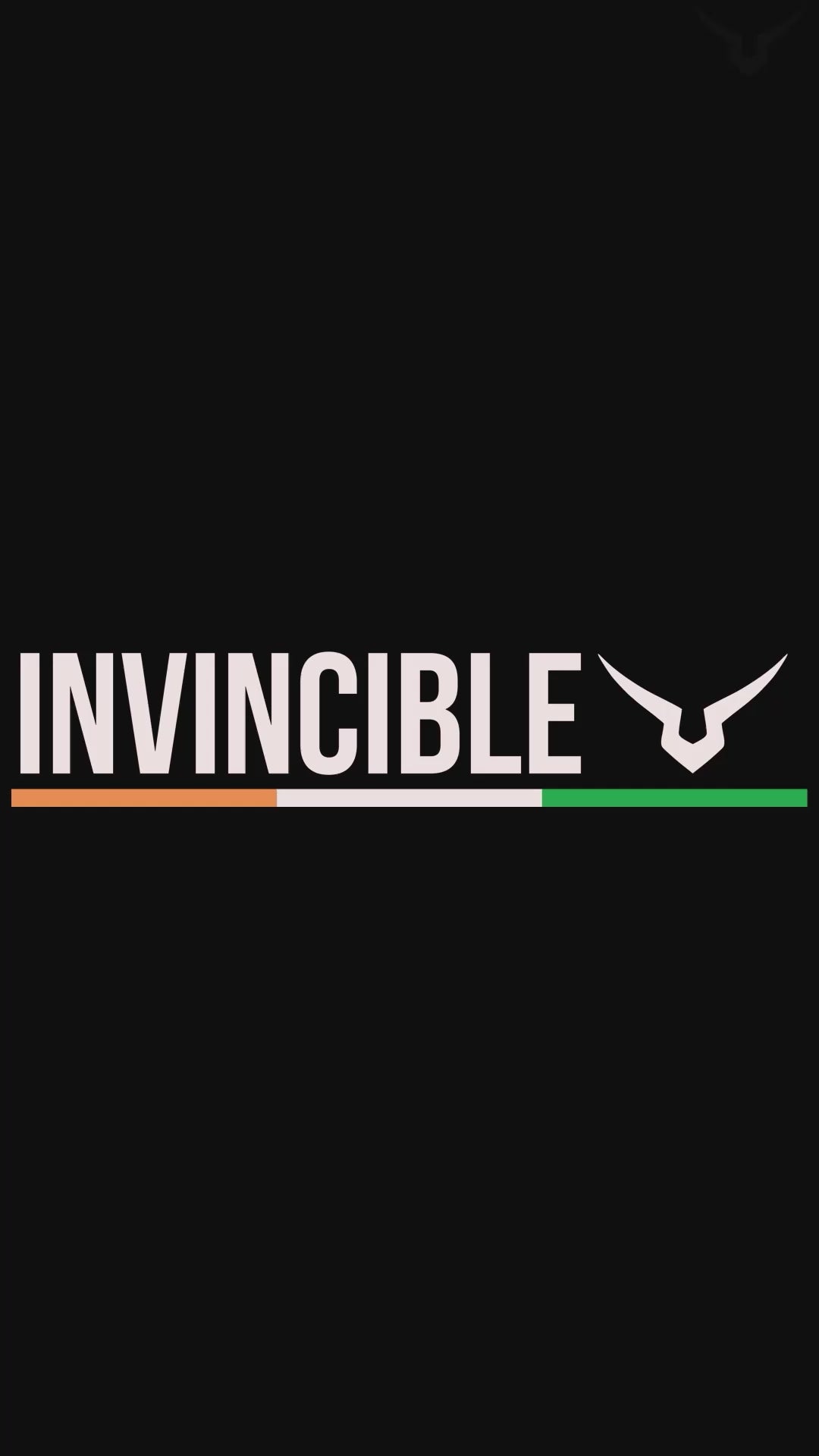 Invincible Free Standing Bag